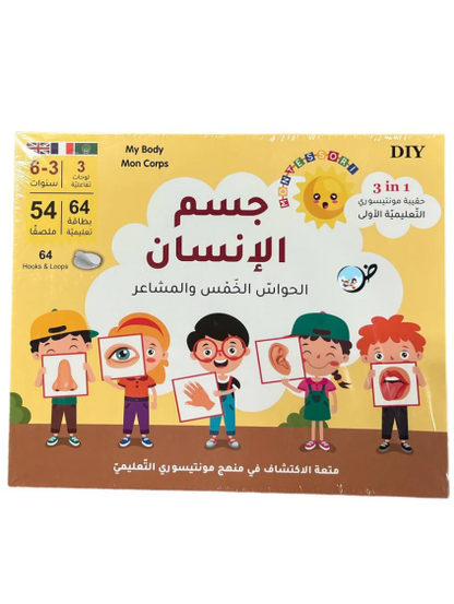Human body جسم الانسان