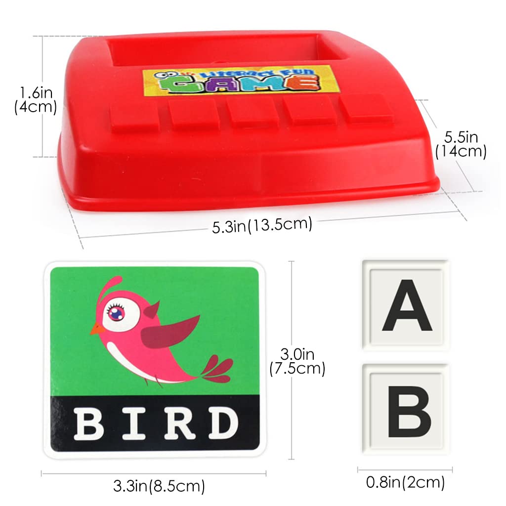 Vocabulary fun (English) [No Sound]