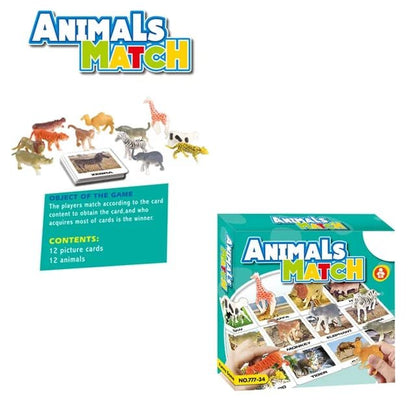Animals match toy